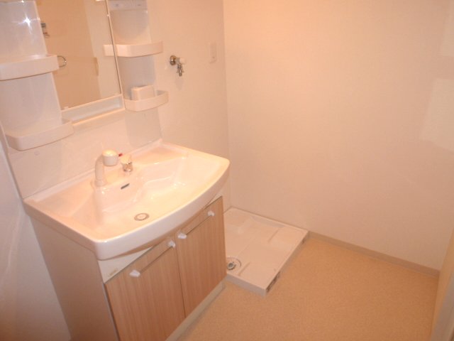 Washroom. Shampoo is a wash basin with a dresser.