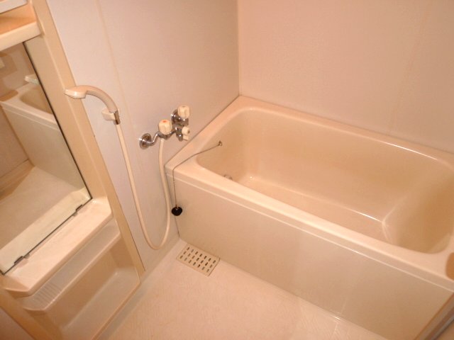 Bath. This bath spacious space