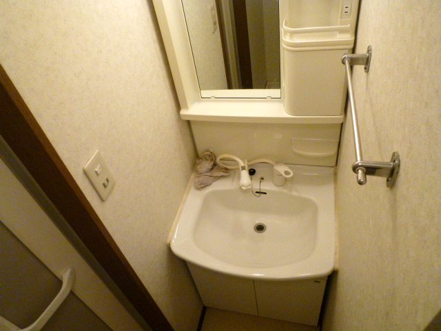 Washroom. Washbasin with shower Dresser