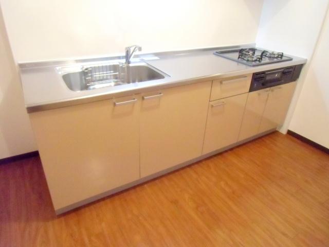 Kitchen. System kitchen had made