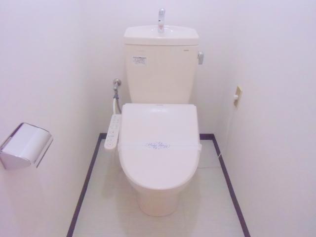 Toilet. With hot water cleaning function