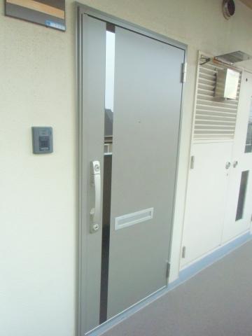 Entrance. Stylish front door