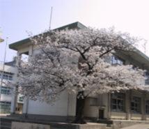 Primary school. Single Okahigashi up to elementary school (elementary school) 138m