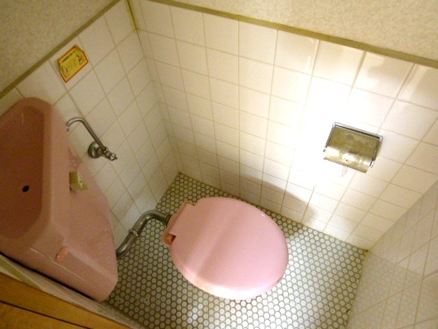 Toilet. It is our easy-to-clean because it is tiled toilet. 