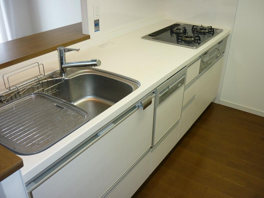 Kitchen. Indoor (11 May 2013) Shooting