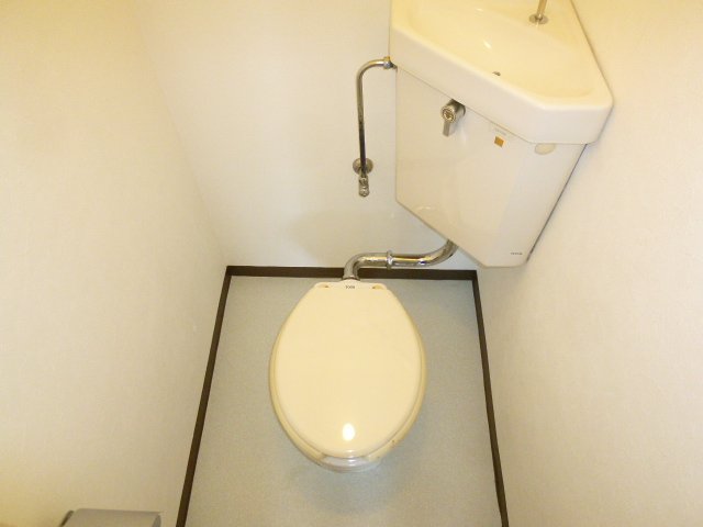 Toilet. It is a little unusual toilet.