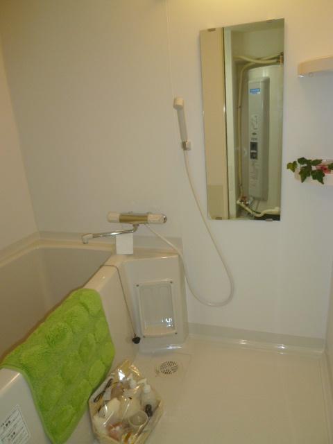 Bathroom. Indoor (10 May 2013) Shooting