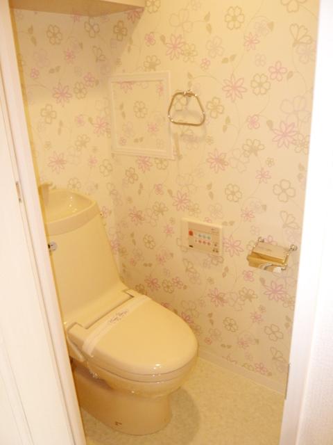 Toilet. Room (August 2013) Shooting