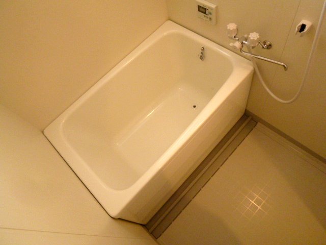 Bath. It is spacious bathroom space.