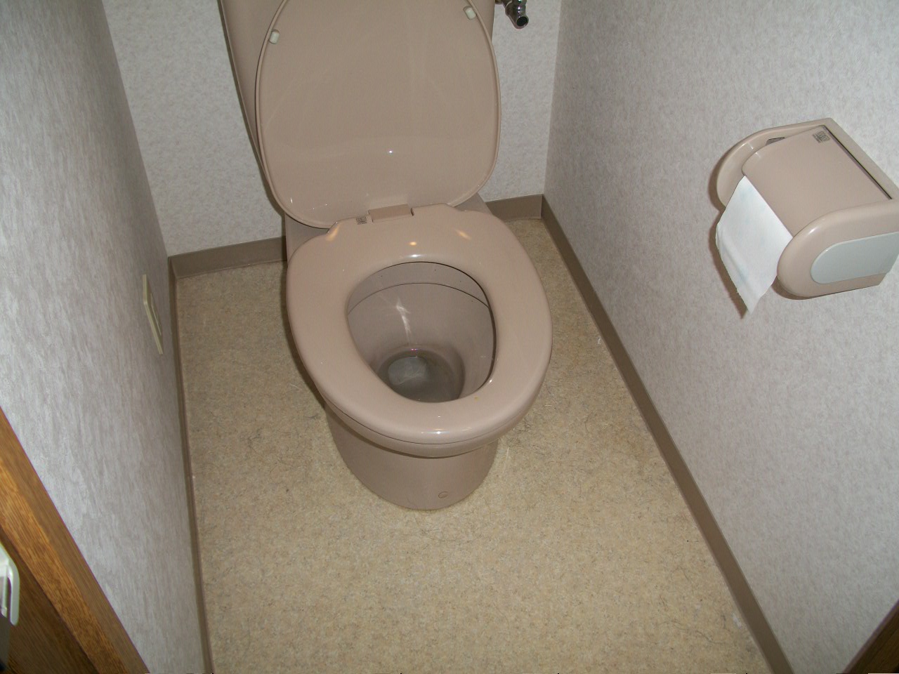 Toilet