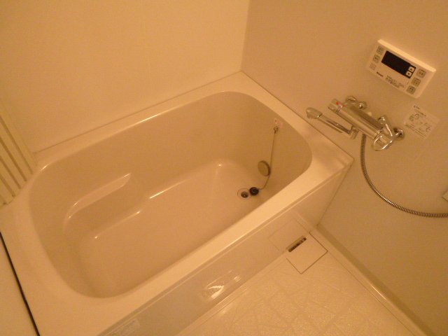 Bath. It is a beautiful bathroom with reheating. 