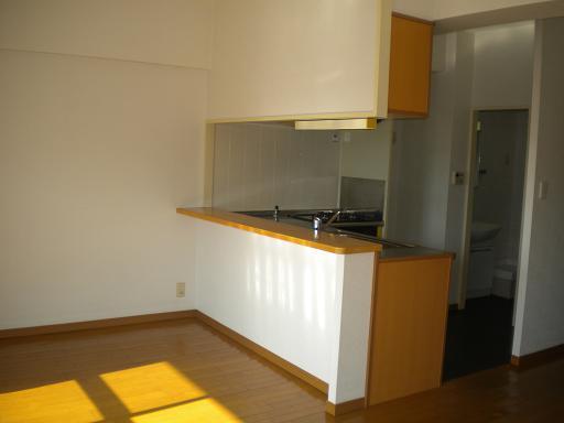 Kitchen. Indoor (12 May 2013) Shooting