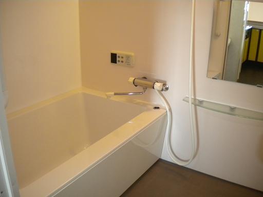 Bathroom. Indoor (12 May 2013) Shooting