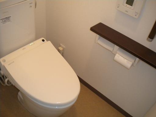 Toilet. Indoor (12 May 2013) Shooting