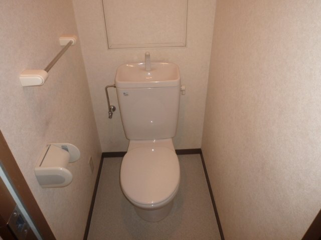 Toilet. It is a toilet with a clean