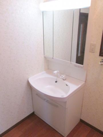 Wash basin, toilet. I had made a washbasin