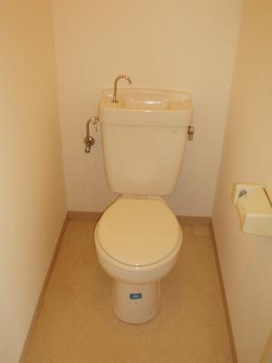 Other. Toilet