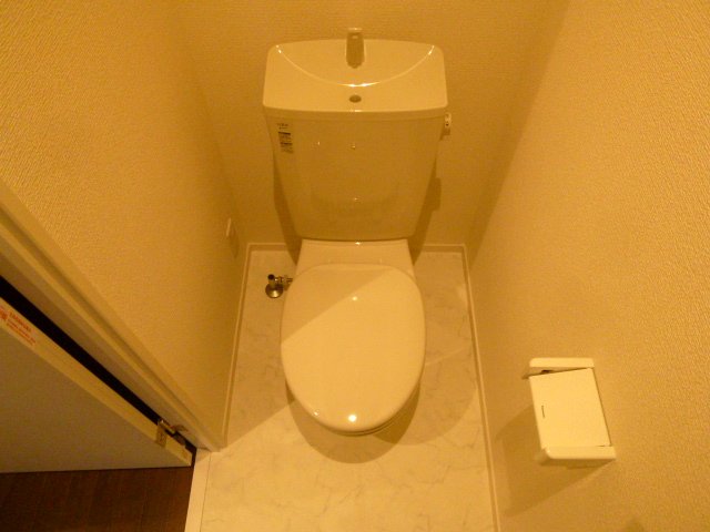 Toilet. In the toilet comes with a shelf. 