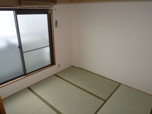 Other room space. Tatami is a replacement already