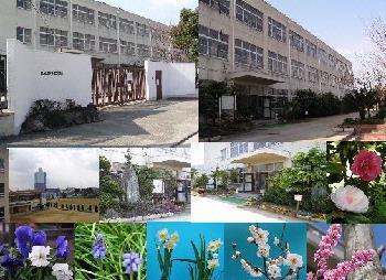 Junior high school. Higashi Osaka Municipal Ikeshima until junior high school 760m