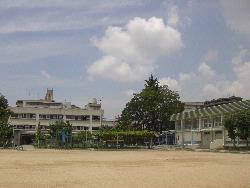 Primary school. Higashi-Osaka Ritchodo to elementary school 314m
