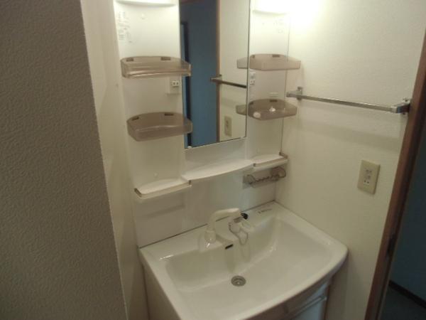 Wash basin, toilet. Storage space with plenty of vanity