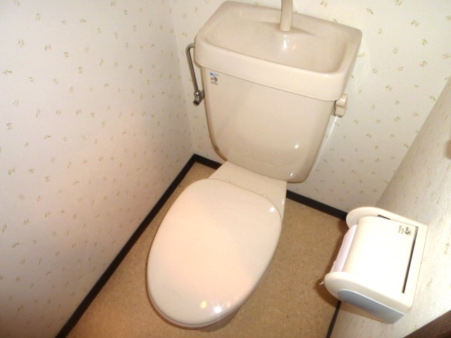 Toilet. It is a toilet with a clean