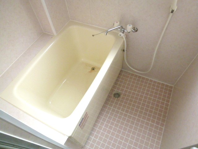 Bath. This bath spacious space. 
