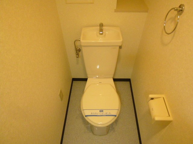 Toilet. This is useful for small storage because there is a shelf behind the toilet