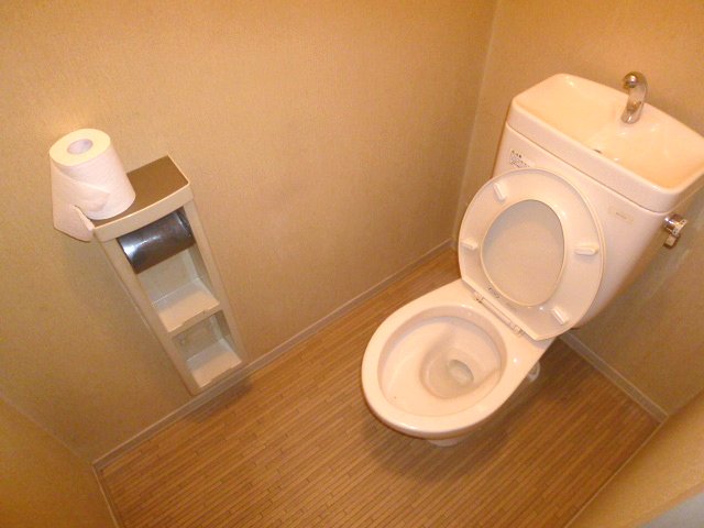 Toilet. Spacious clean toilet. 