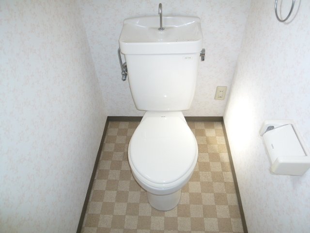 Toilet. Design is stylish toilet. 