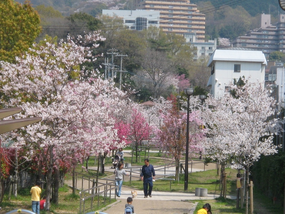 park. 865m until Higashiishikiri park (park)