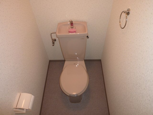 Toilet. It is separate! 