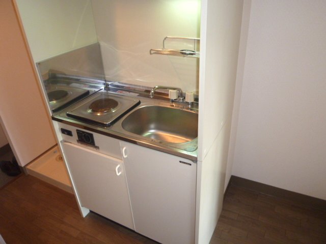 Kitchen. Mini fridge, It is a kitchen with a electric stove. 