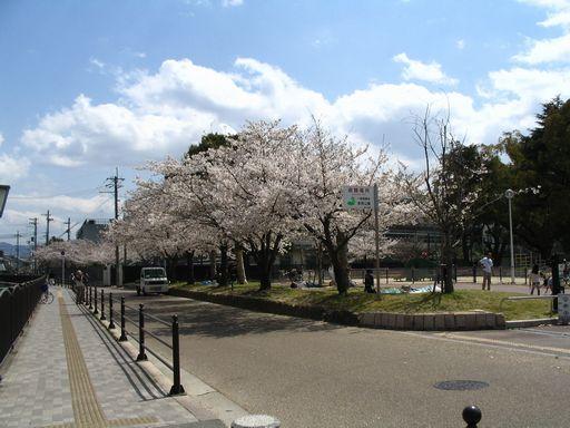 park. 562m until KANAOKA park