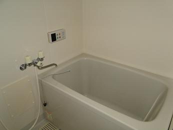 Bath. It is also spacious bathroom! 