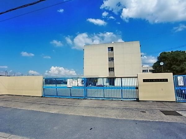 Junior high school. Sakuragaoka 240m until junior high school