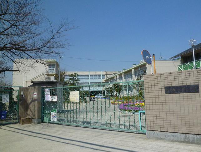 Primary school. Hirakata until City Makino Elementary School (Elementary School) 557m