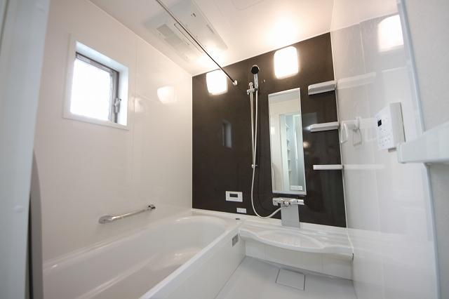 Bathroom. 2013 October shooting