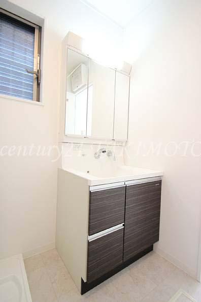 Wash basin, toilet. Washbasin with shower provided plenty of storage!