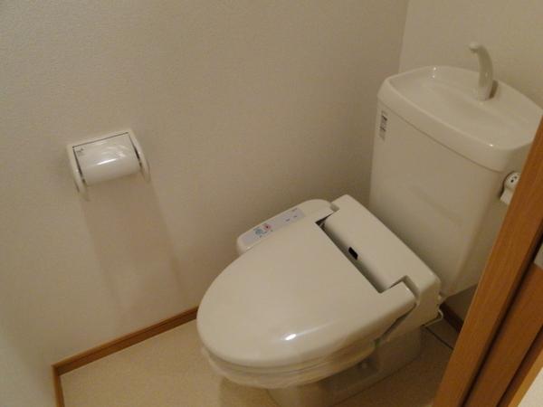 Toilet. It is with warm water washing toilet seat.