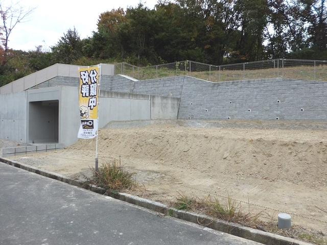 Local photos, including front road. November 25 Local shooting