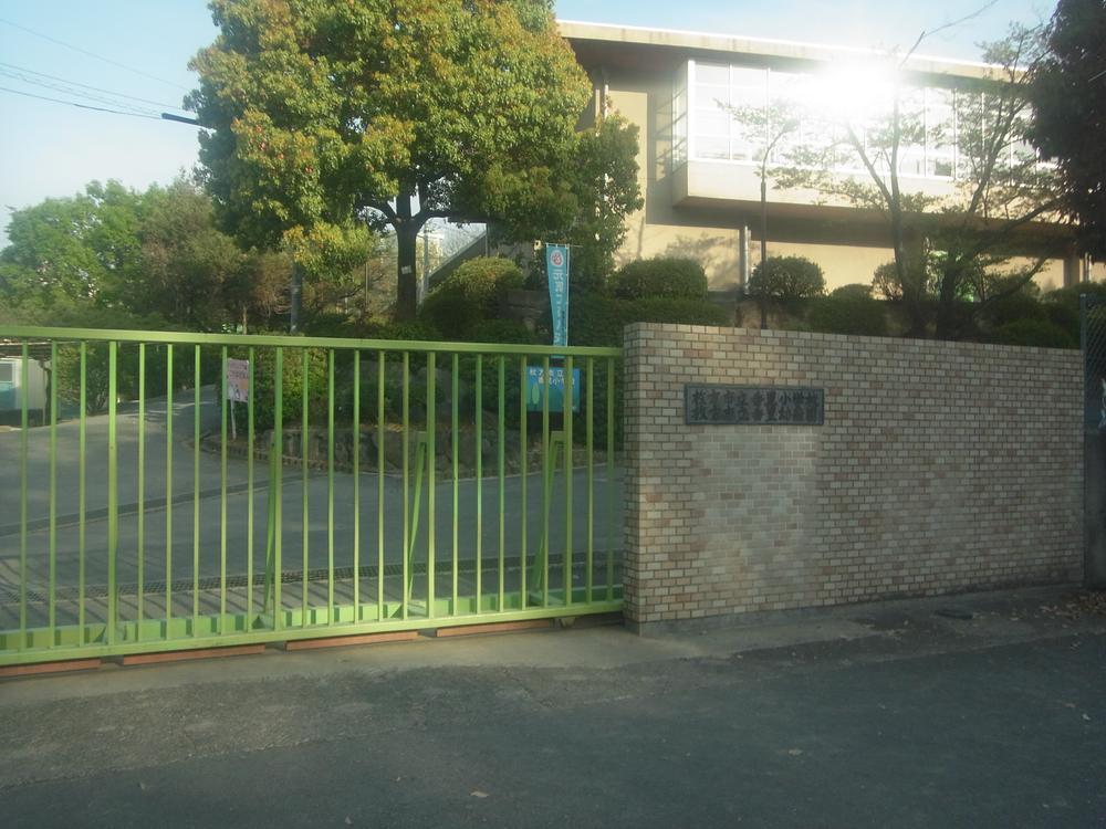 Primary school. Kaori elementary school