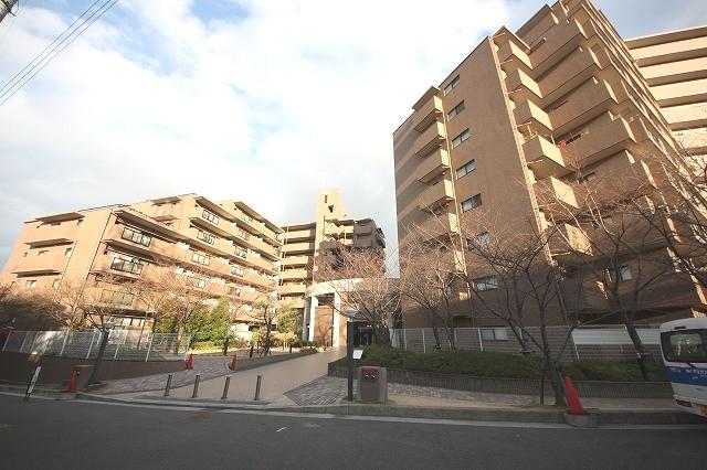 Local appearance photo. Local (12 May 2013) Shooting