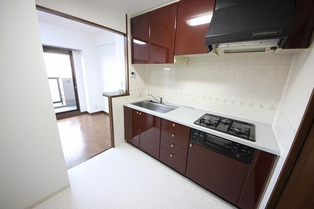 Kitchen. Indoor (12 May 2013) Shooting Gas stove had made