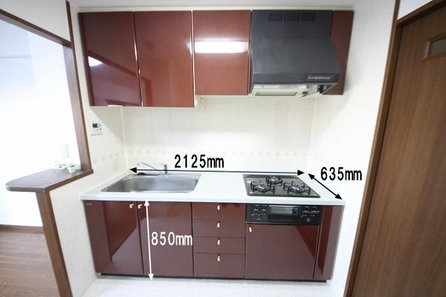 Kitchen. Indoor (12 May 2013) Shooting