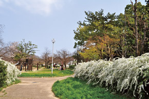 park. Makino 650m 9 minute walk to the park