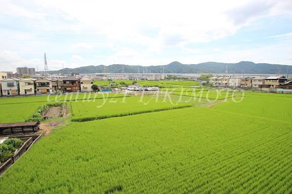 View photos from the dwelling unit. It spreads idyllic landscape!
