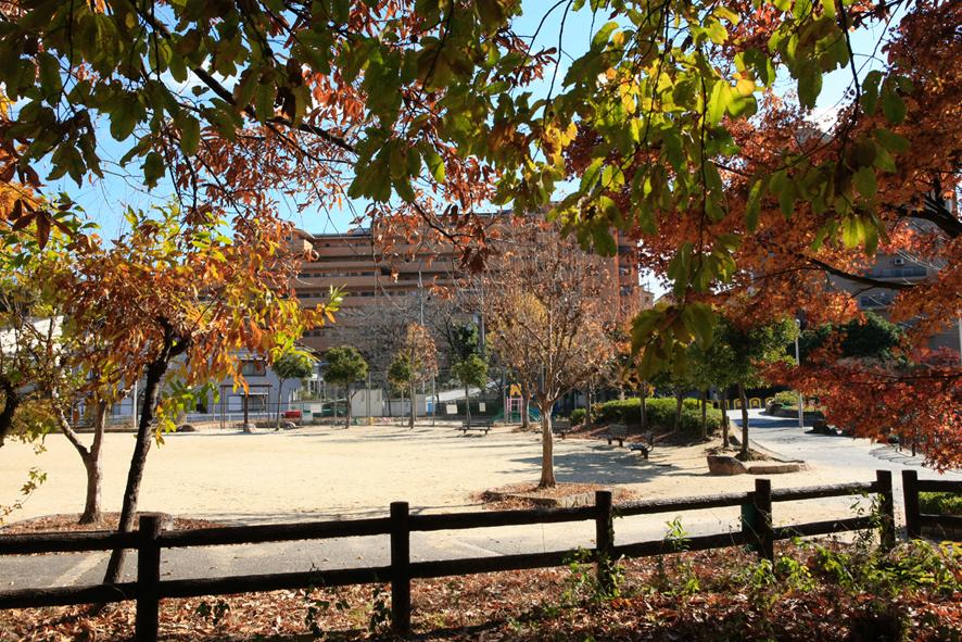 park. 170m until shaved pond park