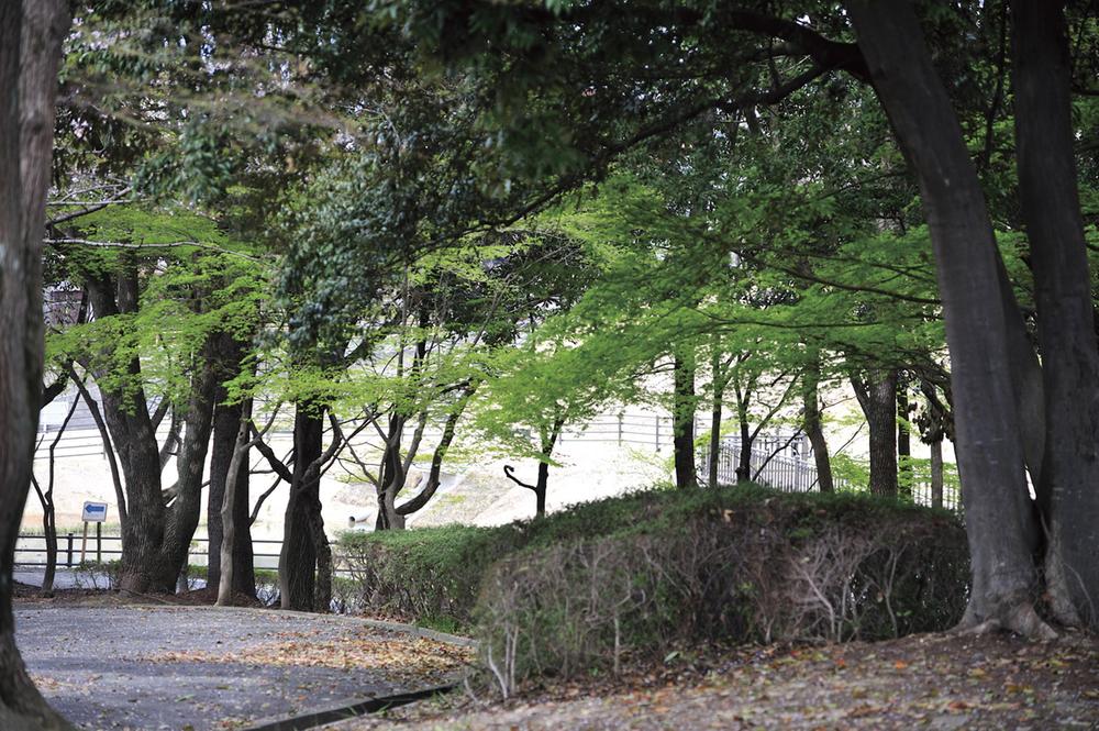 park. Wanikoen until the 1-minute walk to the 30m lush Wanikoen